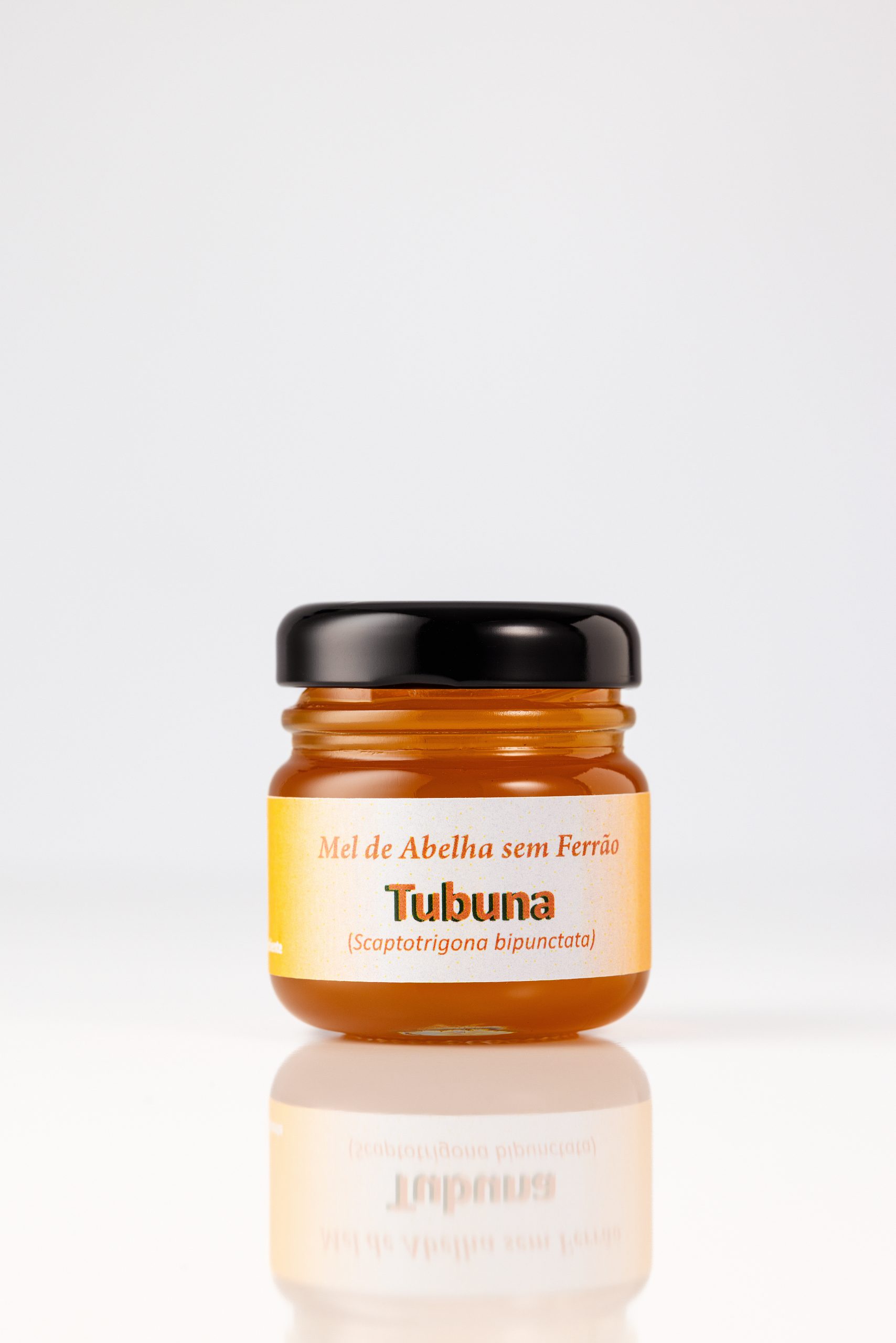 (Scaptotrigona bipunctata)