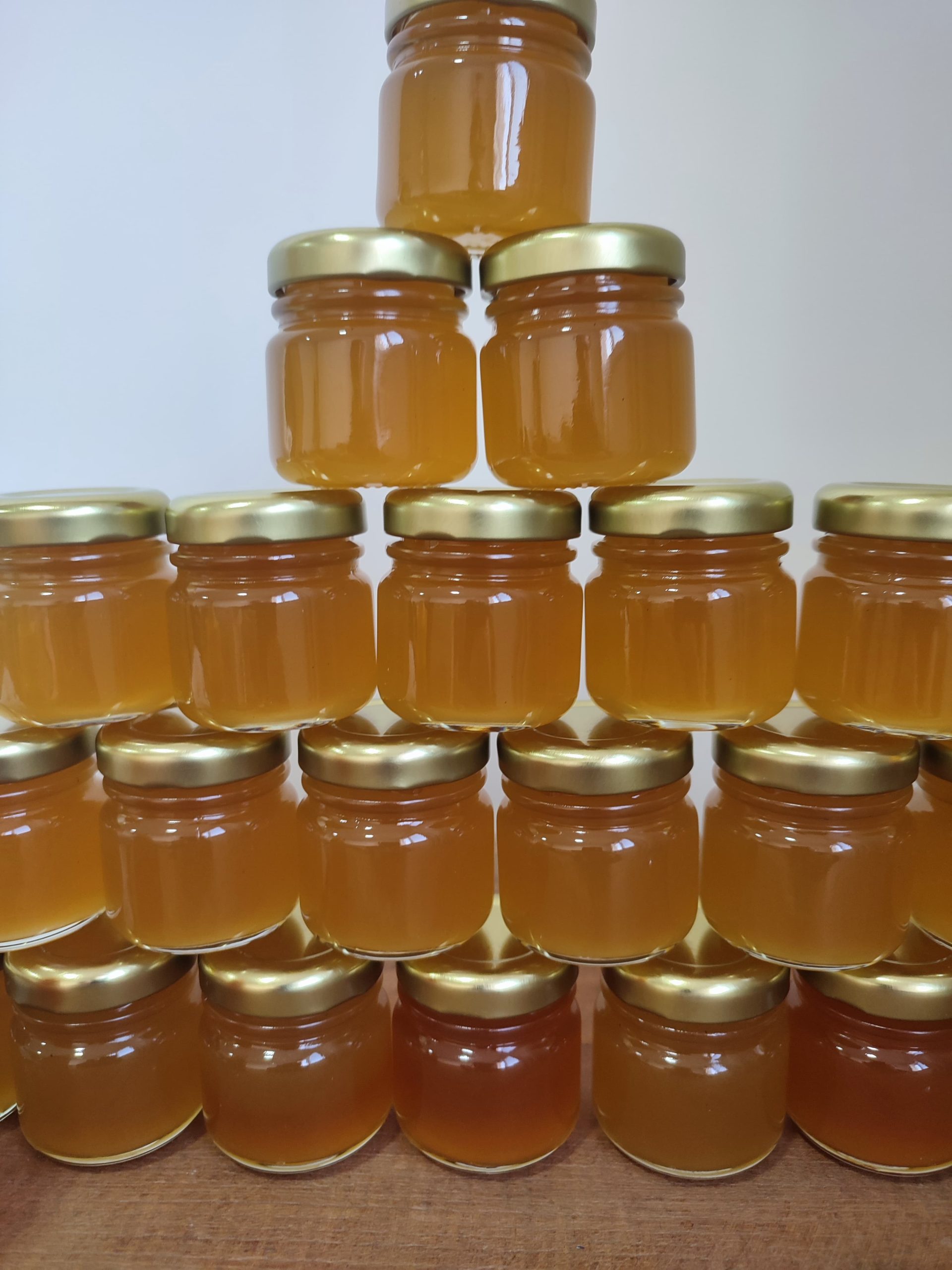 mel de abelha jataí