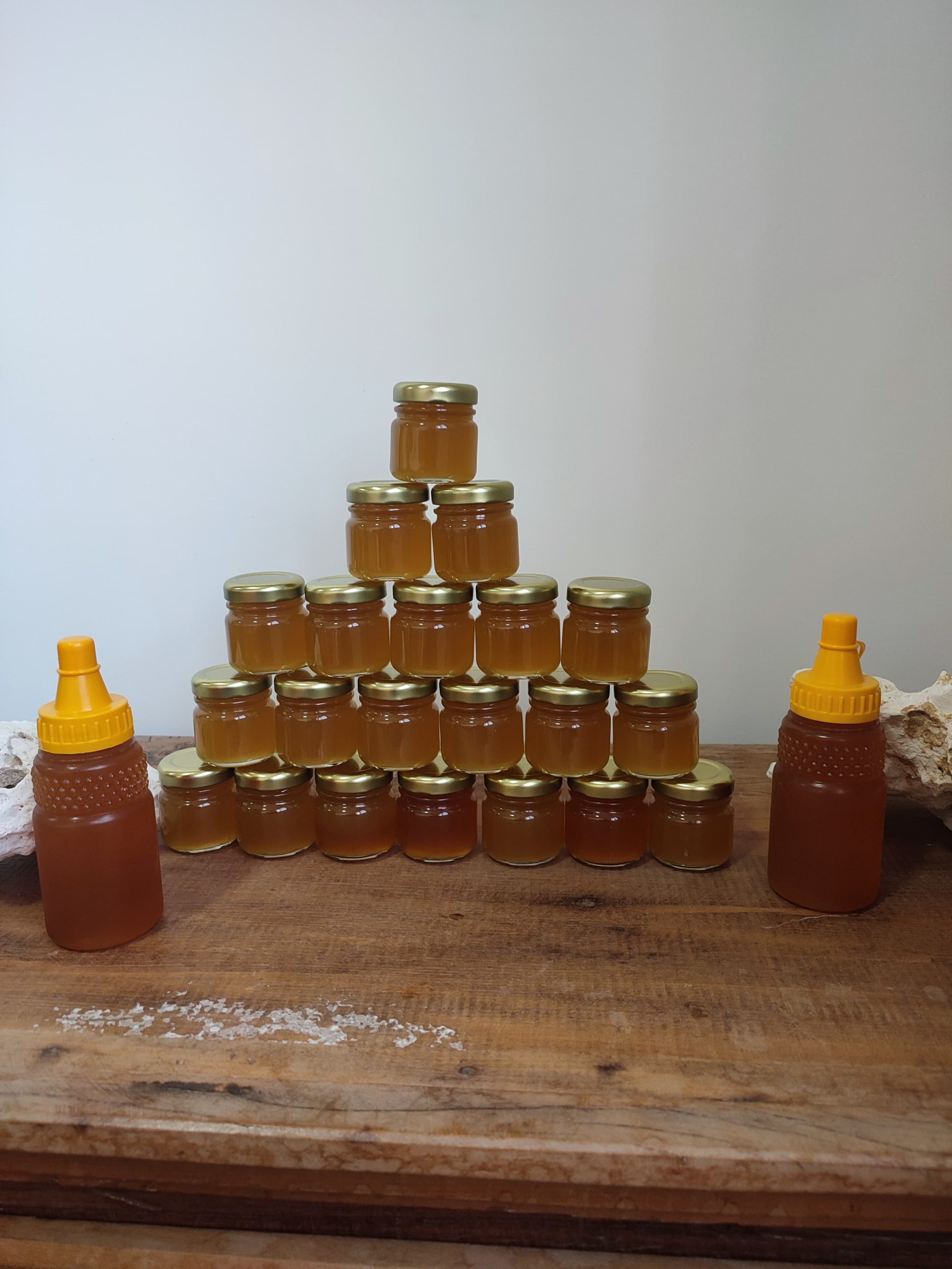 mel de abelha jataí