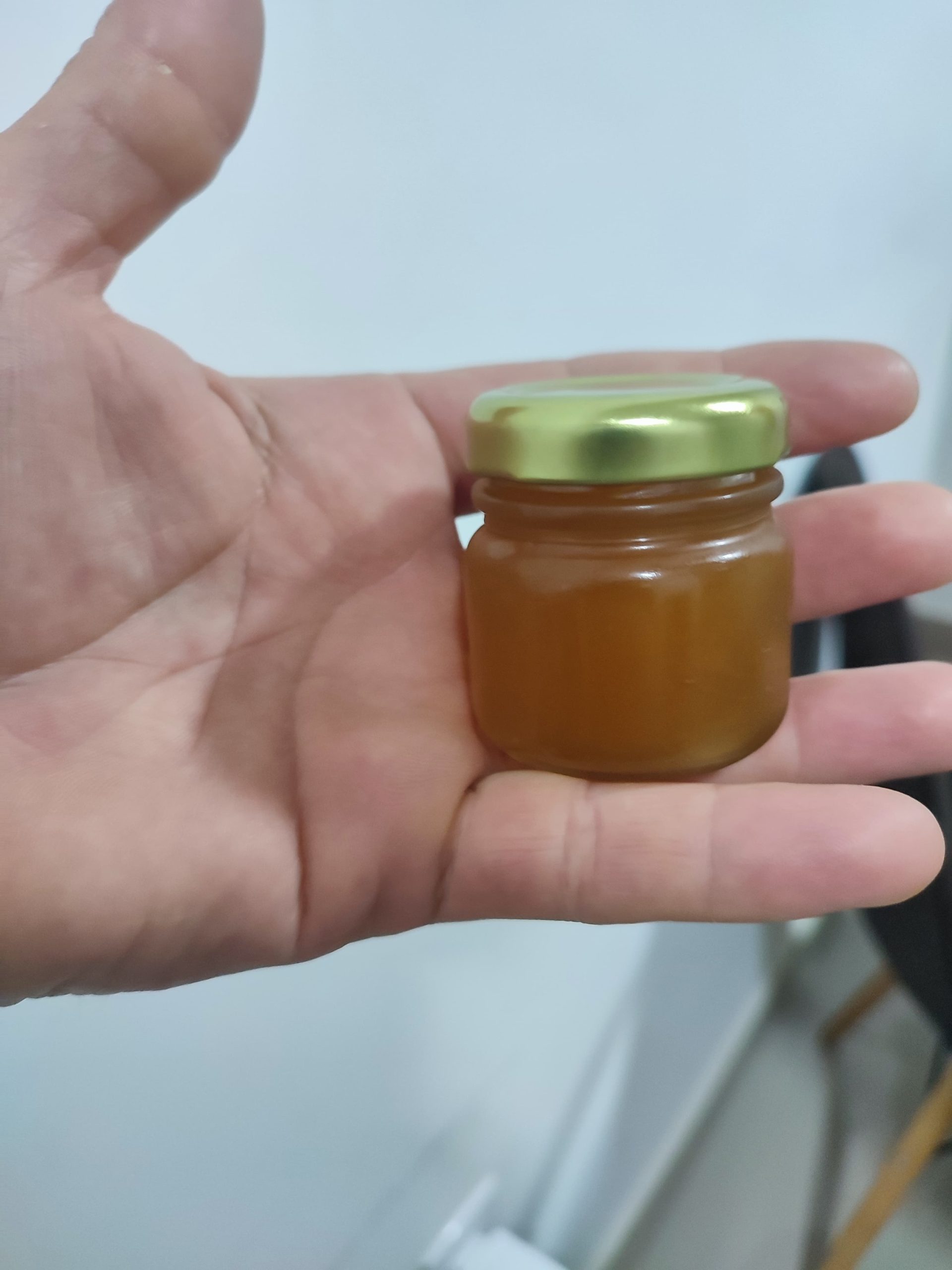 mel de abelha jataí