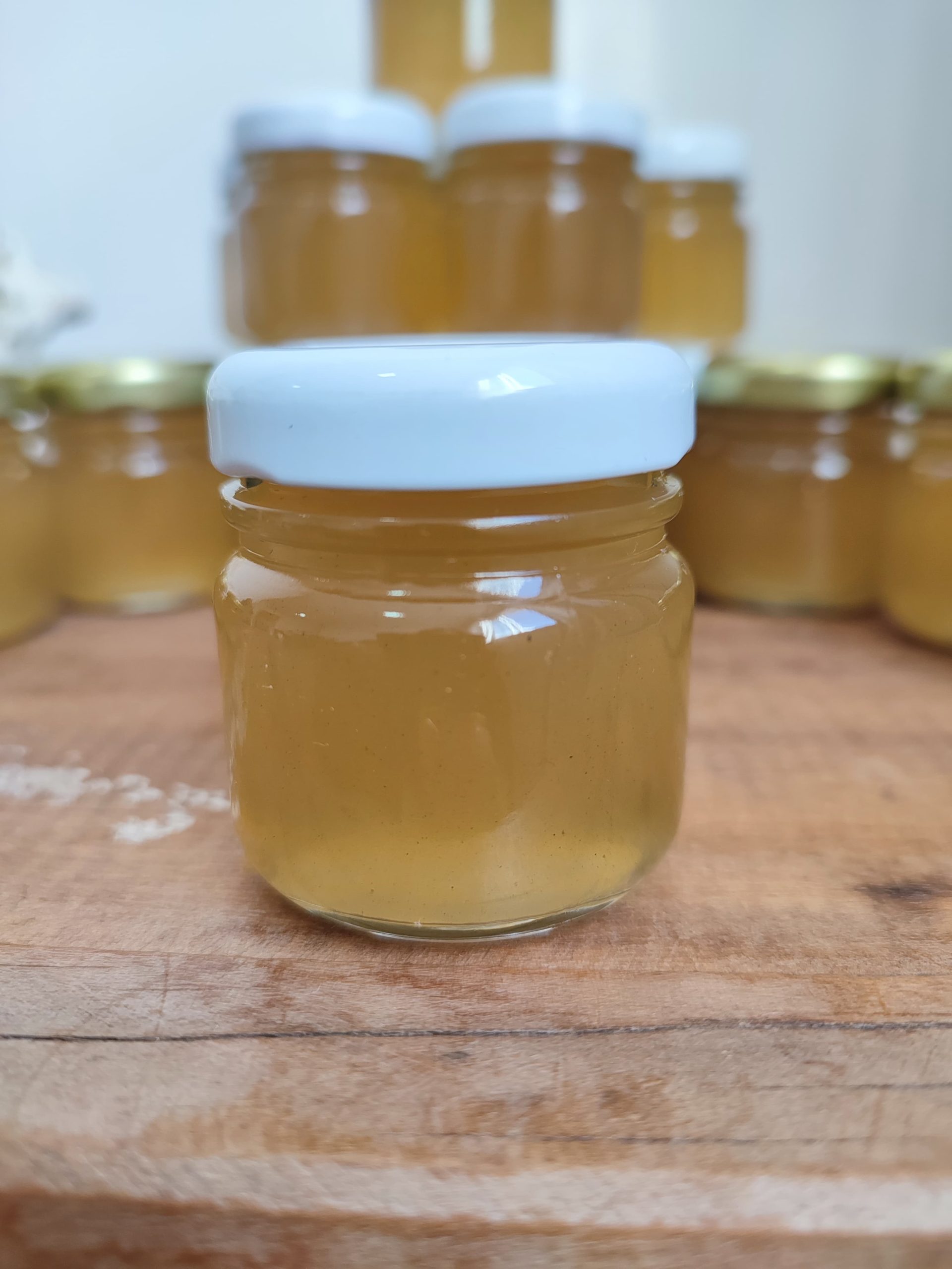 mel de abelha jataí