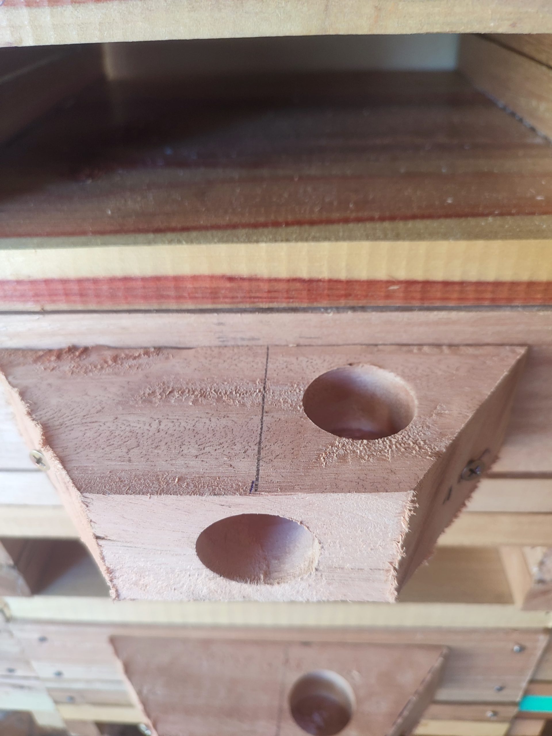 Alimentador Roso de Madeira Kit com 05 - Imagem 2