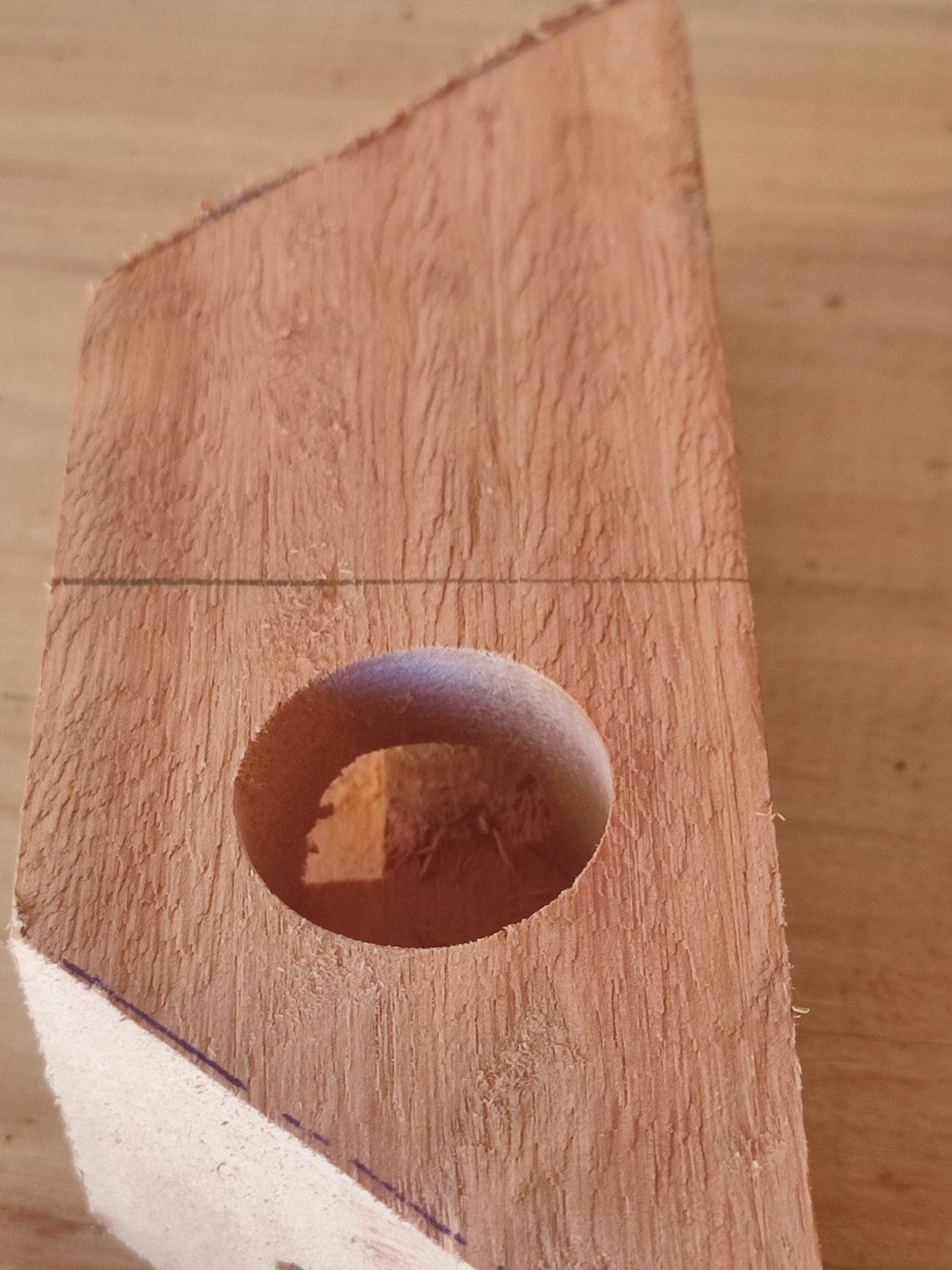 Alimentador Roso de Madeira Kit com 05 - Imagem 4