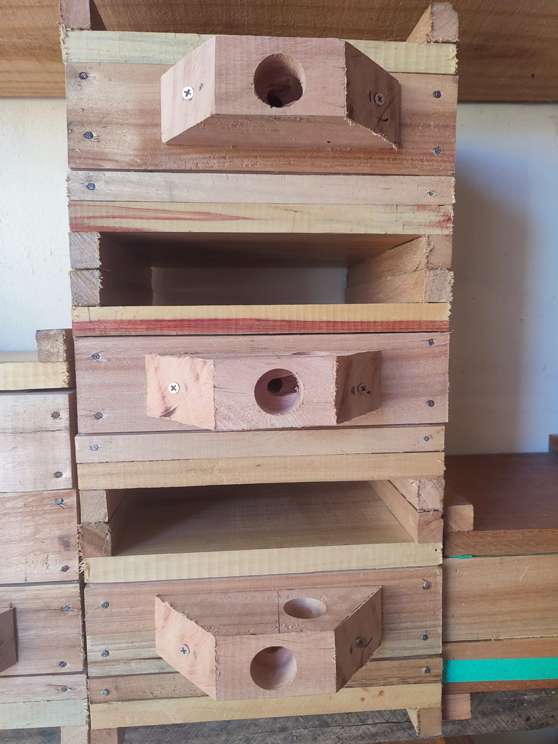 Alimentador Roso de Madeira Kit com 05 - Imagem 5