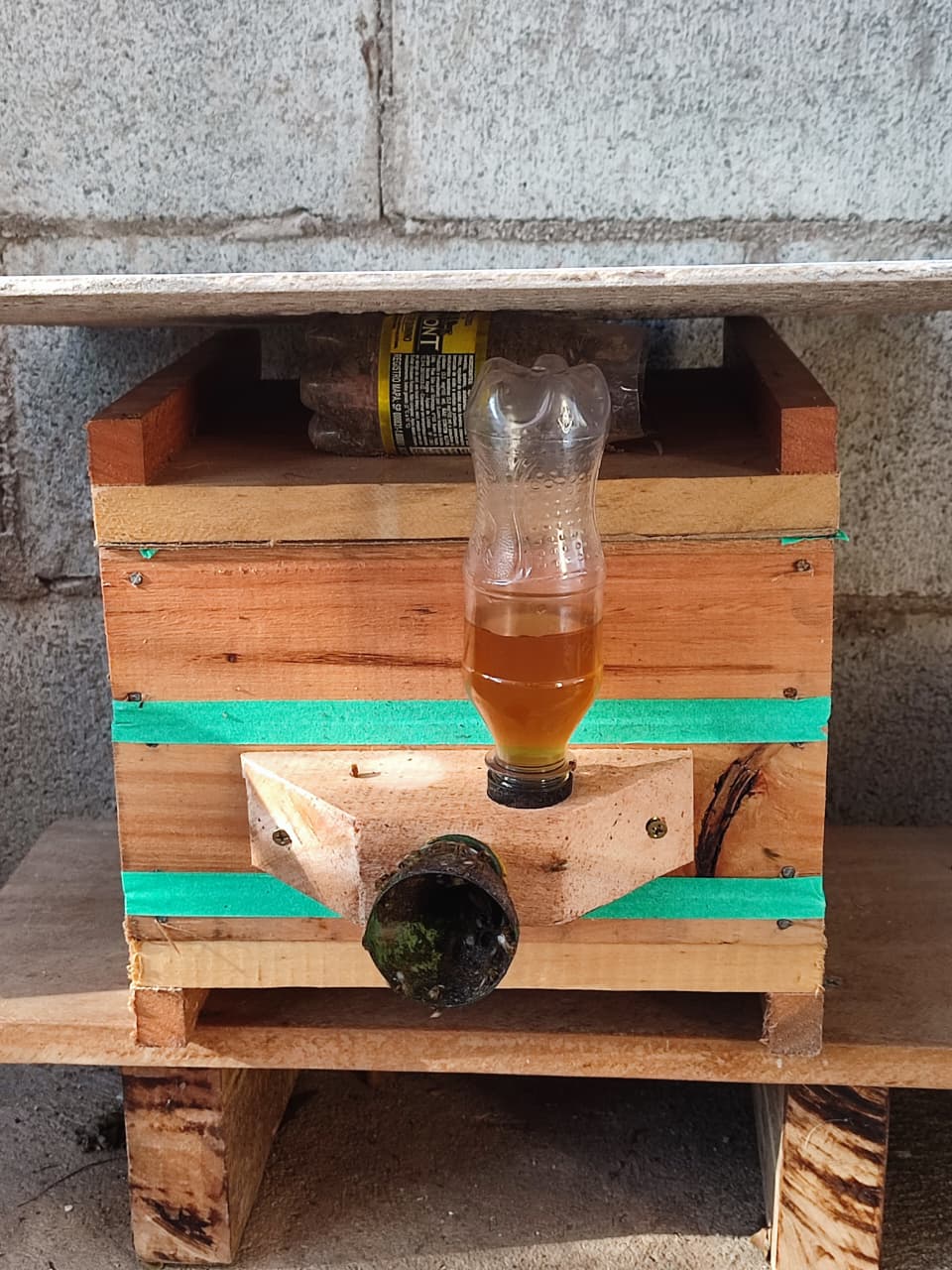 Alimentador tipo roso feito de madeira, utilizado para fornecer alimento às abelhas sem ferrão.