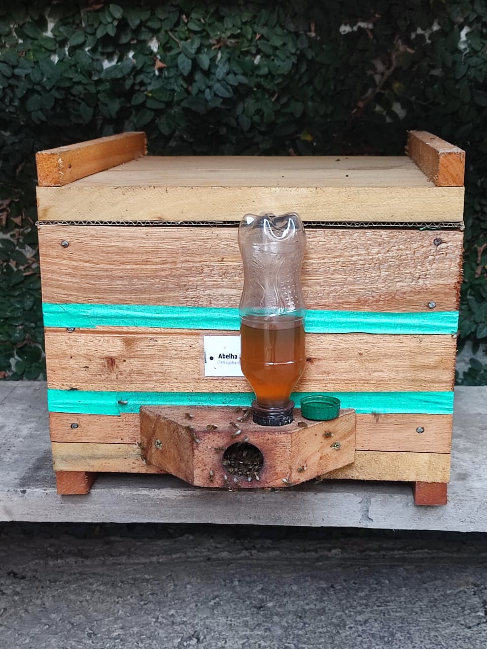 Alimentador externo para abelha Borá