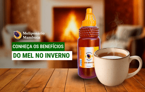 Mel de abelhas sem ferrão
