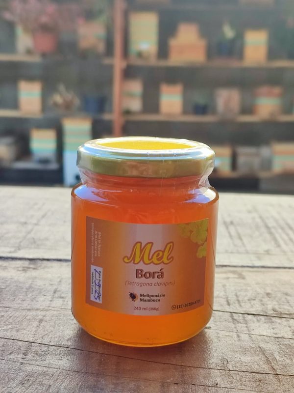 Pote de 300g de mel puro de abelha Borá, de tom dourado claro