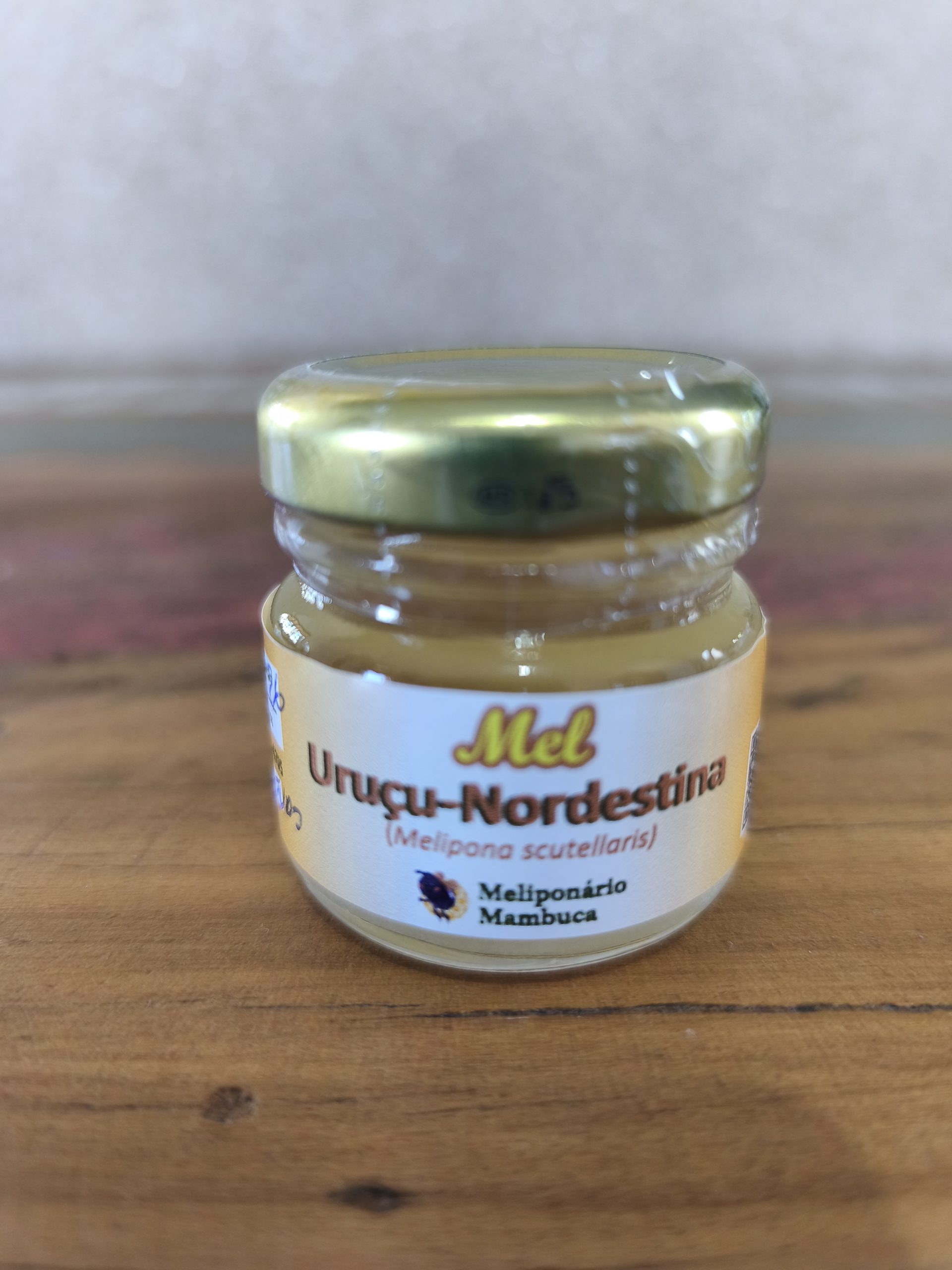 Mel de Abelha Uruçu-Nordestina 40ml